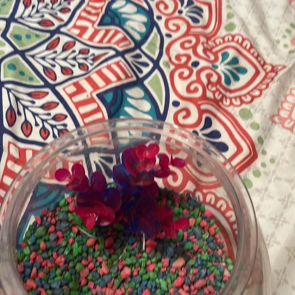 I’m am selling a small aquarium with a PLASTIC plant and a SpongeBob pineapple